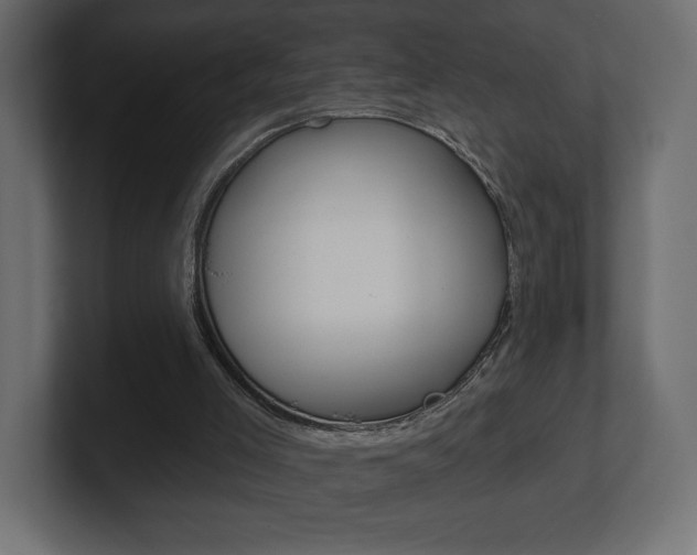 X0000101090005200806261112