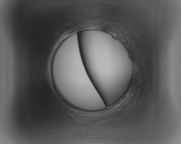 X0000101090006200806261112