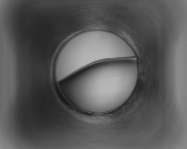 X0000101090012200806261112