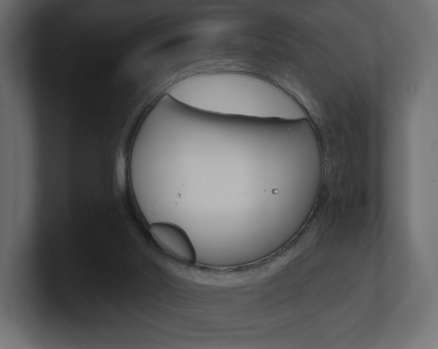 X0000101090014200806261111