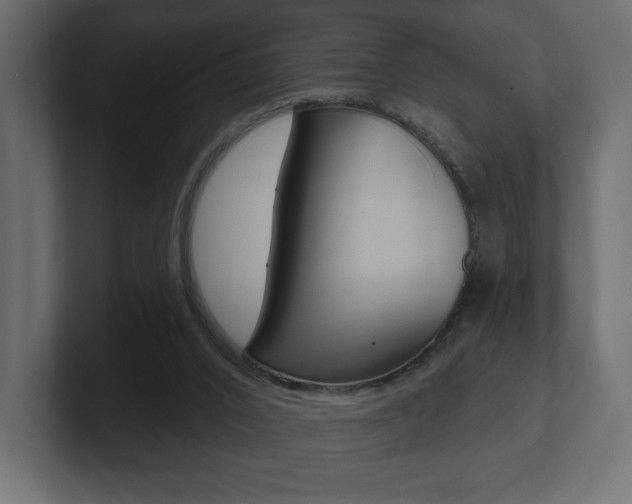 X0000101090016200806261111