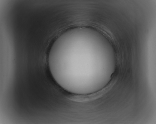 X0000101090029200806261111