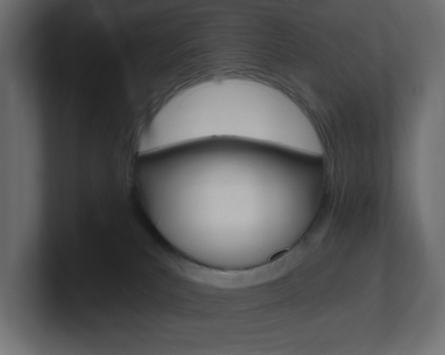 X0000101090039200806261111