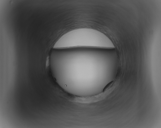 X0000101090041200806261111