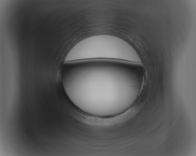 X0000101090048200806261111