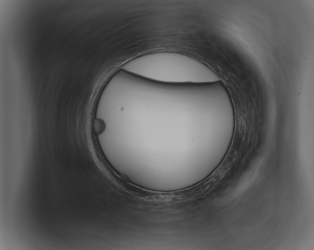 X0000101090049200806261110