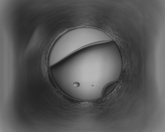 X0000101090050200806261110