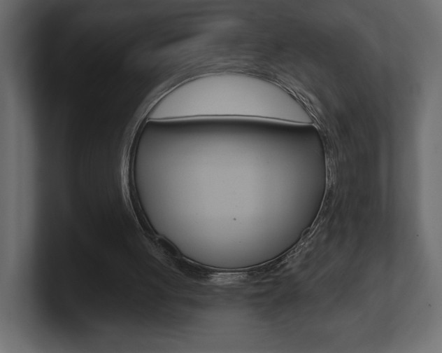 X0000101090051200806261110