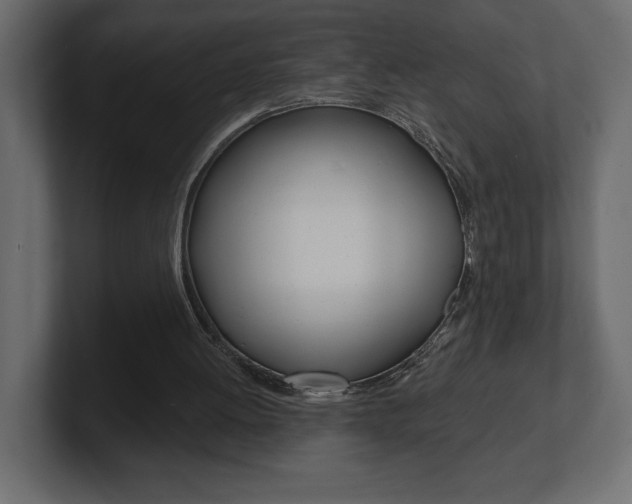 X0000101090052200806261110