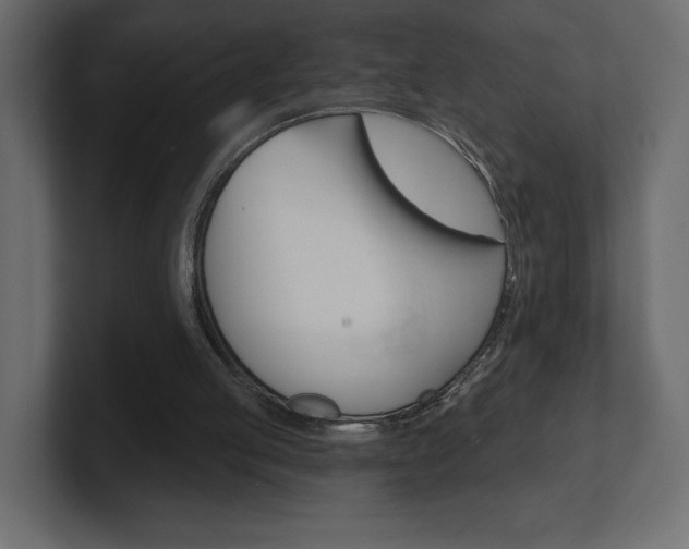 X0000101090053200806261110