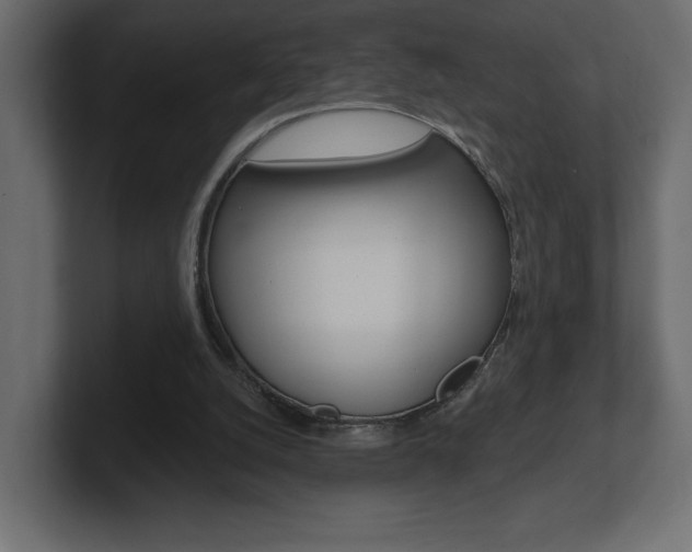 X0000101090056200806261110