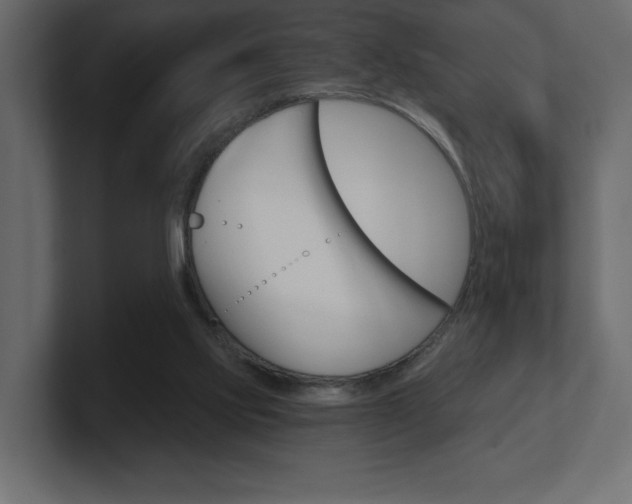 X0000101090061200806261111