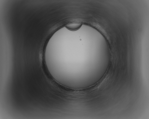 X0000101090063200806261111