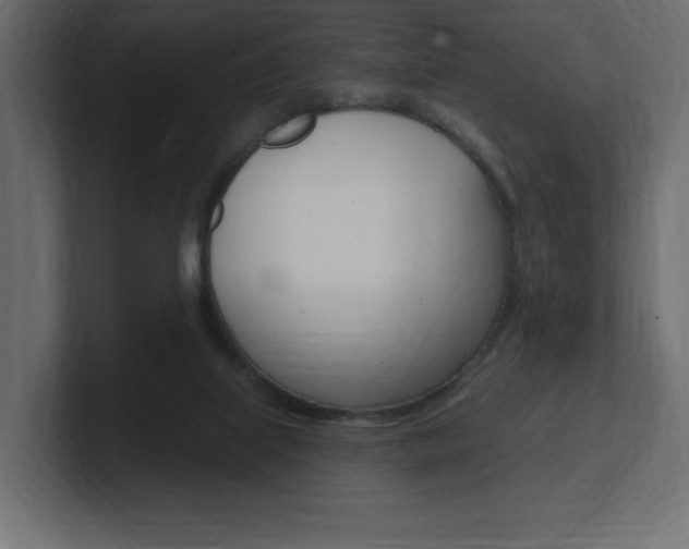 X0000101090067200806261111