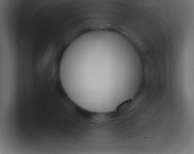 X0000101090079200806261111