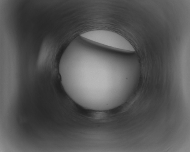 X0000101090085200806261111