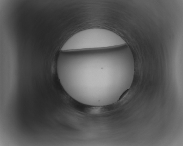 X0000101090090200806261111