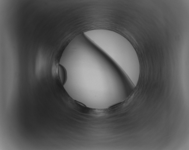 X0000101090095200806261111