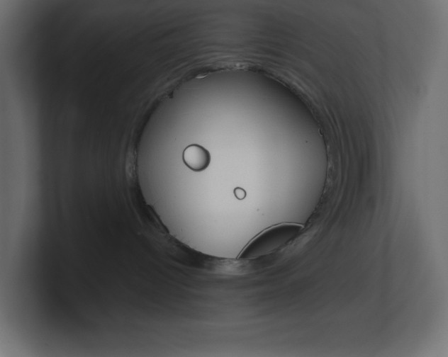 X0000101090096200806261111