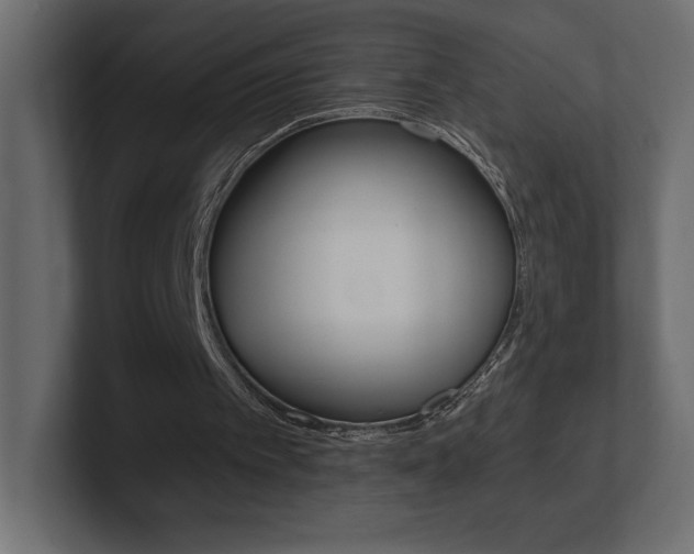 X0000101090097200806261110