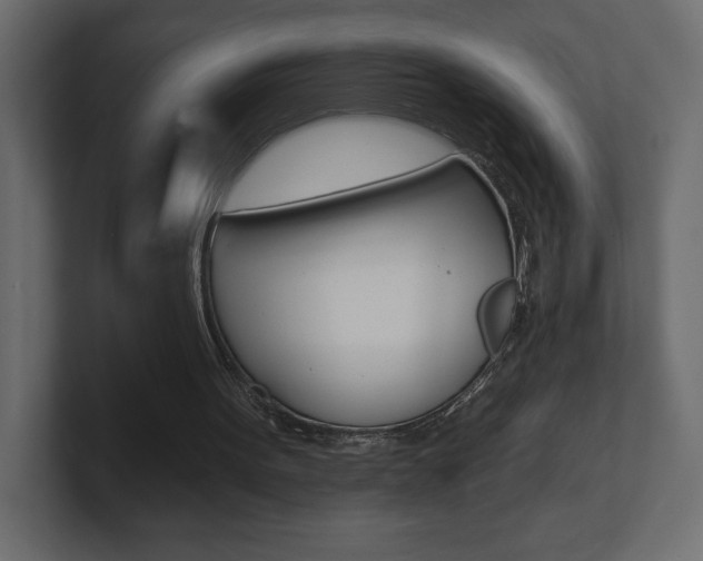 X0000101090099200806261110