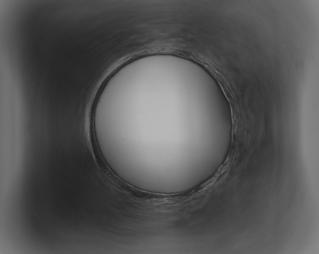 X0000101090100200806261110