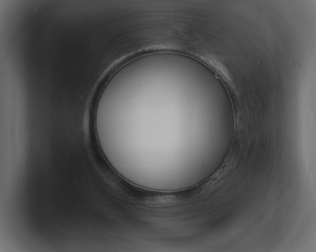 X0000101090108200806261110