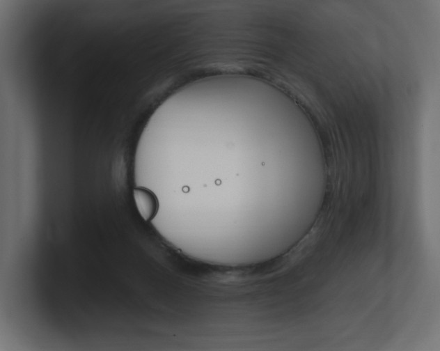 X0000101090120200806261110