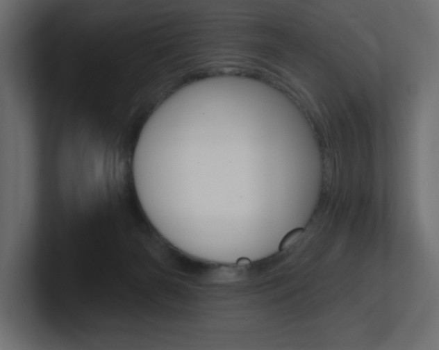 X0000101090126200806261110