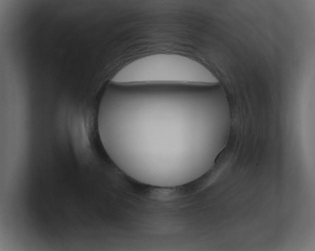 X0000101090139200806261110