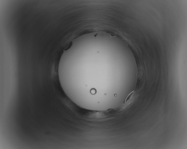 X0000101090140200806261110