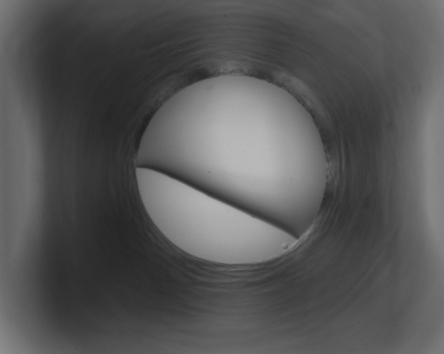 X0000101090142200806261110