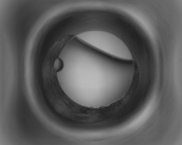 X0000101090143200806261110