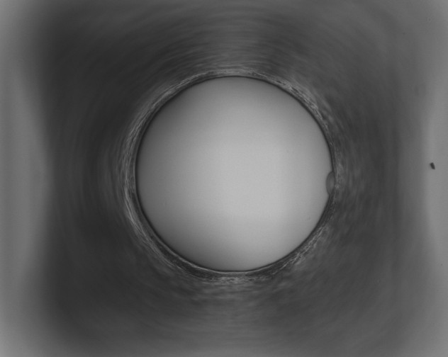 X0000101090145200806261109