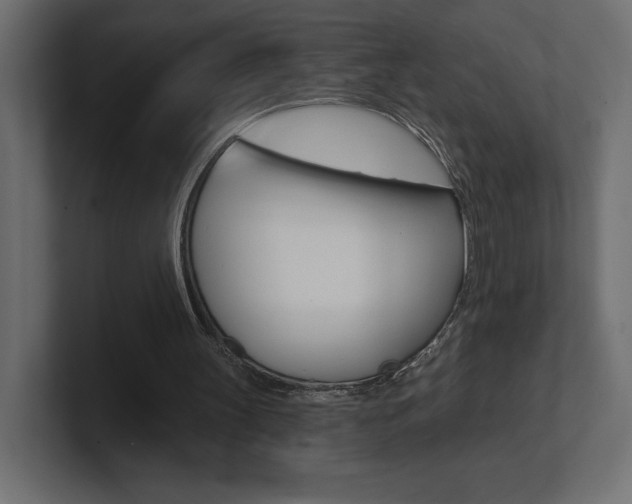 X0000101090147200806261109