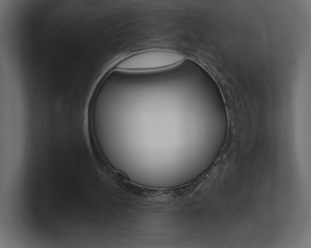 X0000101090148200806261109