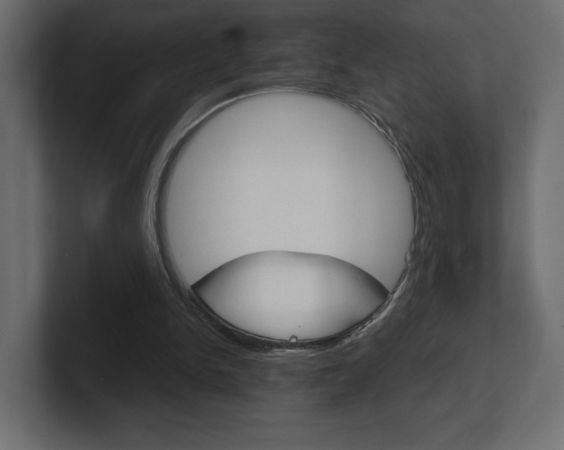 X0000101090150200806261109