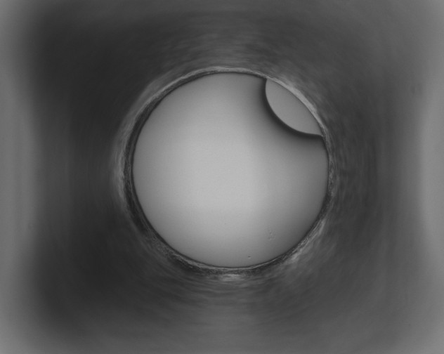 X0000101090151200806261109