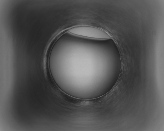 X0000101090152200806261109