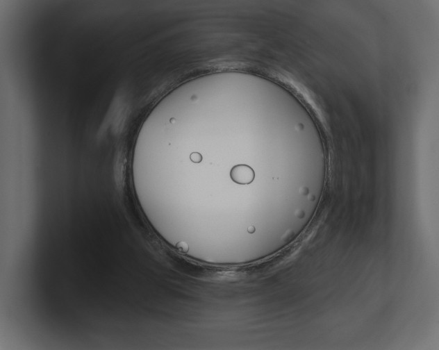 X0000101090153200806261109