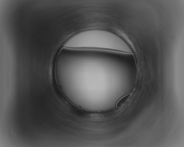 X0000101090154200806261109