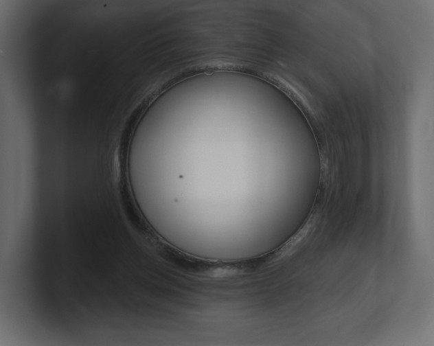 X0000101090158200806261109