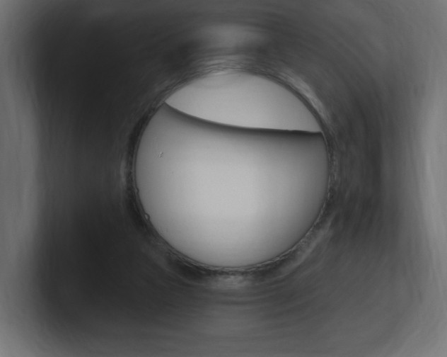 X0000101090161200806261109