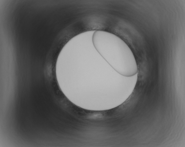 X0000101090162200806261109