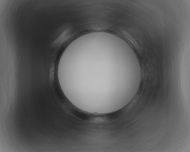 X0000101090163200806261109