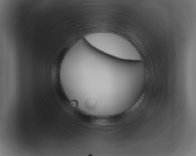 X0000101090171200806261109