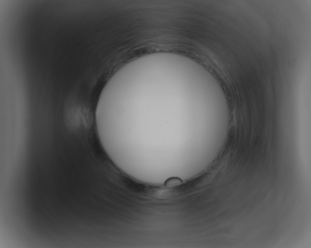 X0000101090173200806261109