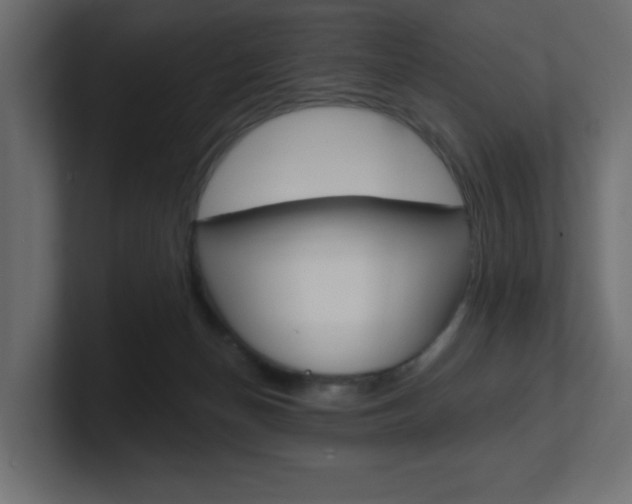 X0000101090174200806261109