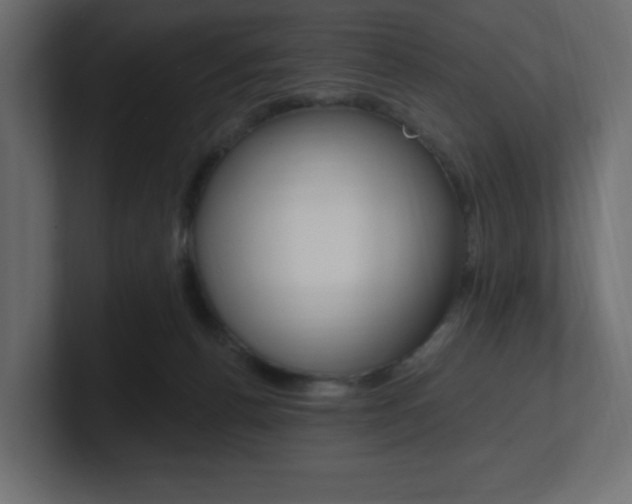 X0000101090176200806261109