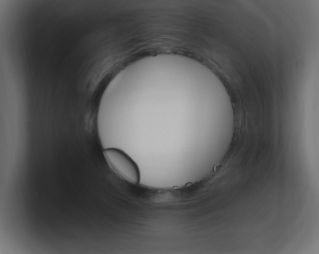 X0000101090177200806261109